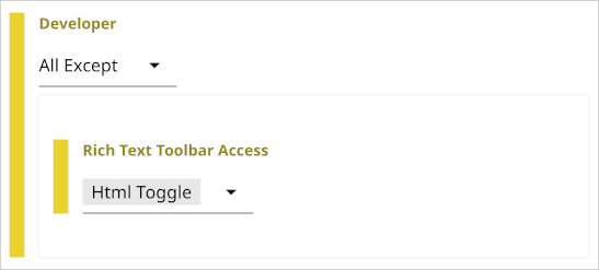 Limiting access to developer-level features