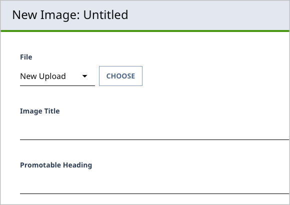 Promotable Image Heading field shown