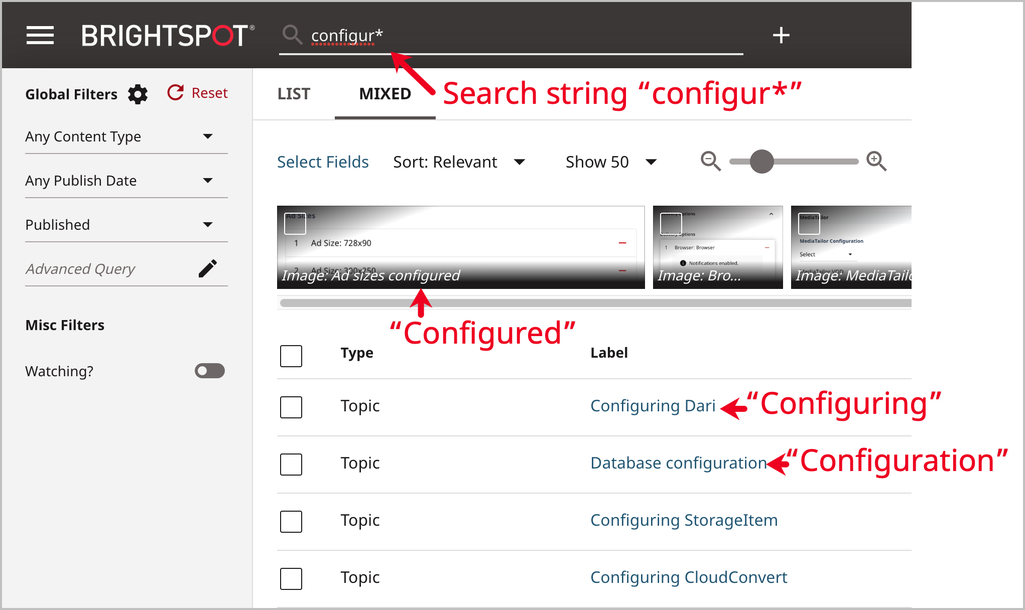 Search using wildcards.png