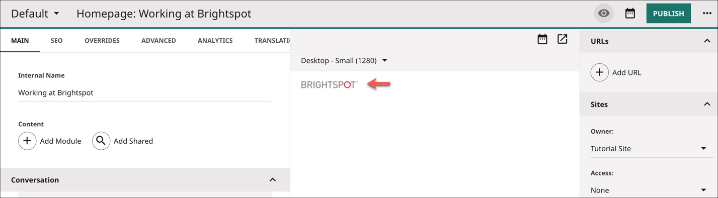 Logo showing on homepage