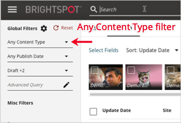 Any Content Type search filter.png