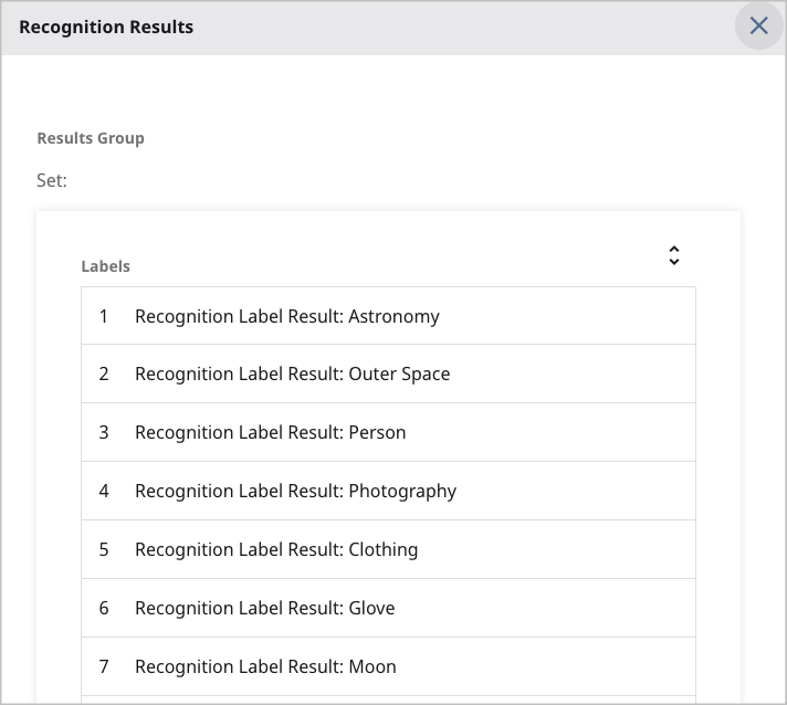 Viewing image recognition results
