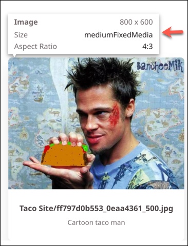 Preview to edit image data
