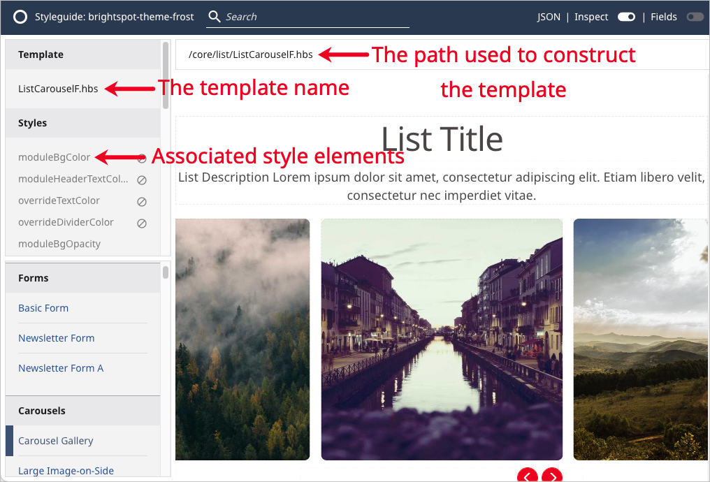 Styleguide inspect with details.png