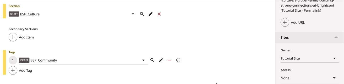 Set the Section and Tags for the article