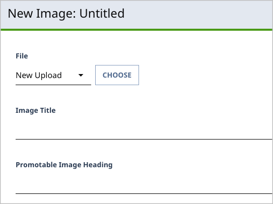 New field displayed on Image edit form