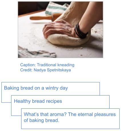 Shared image in multiple assets
