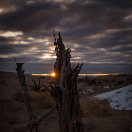 200x200 image