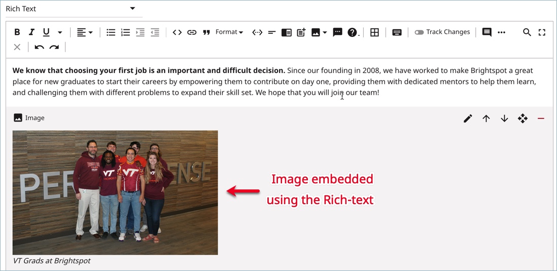 Image embedded in article using rich-text editor