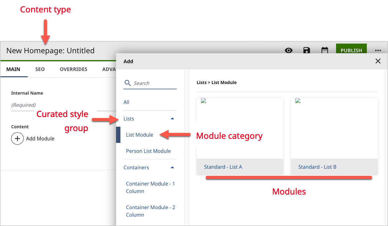 Dynamic modules for a content type
