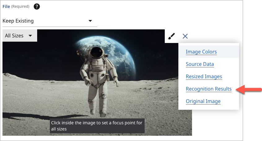 Opening the Recognition Results widget